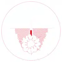 MIKROWYBUCHY_CZERWONY-200×200